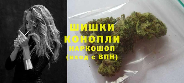 соль ск Краснослободск