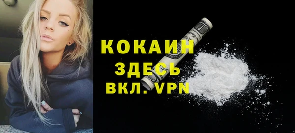соль ск Краснослободск
