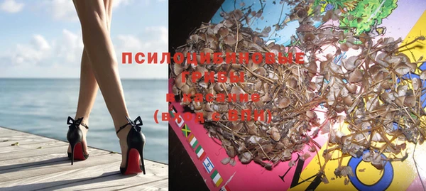 соль ск Краснослободск