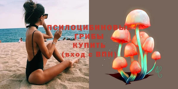 индика Заводоуковск