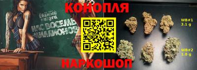 индика Малгобек