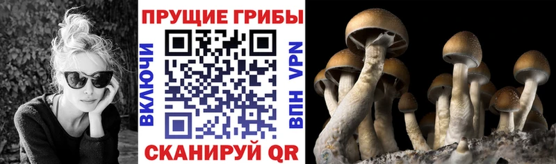 Галлюциногенные грибы мицелий Смоленск