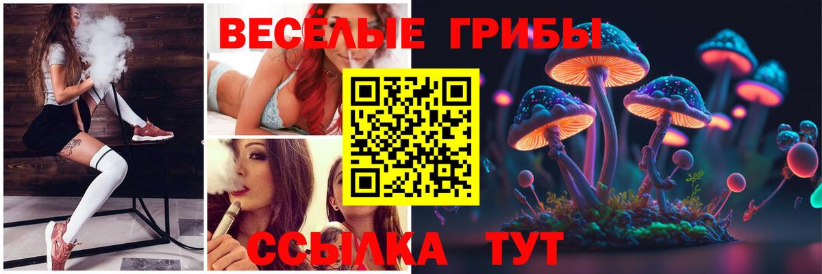 Смоленск  Галлюциногенные грибы Magic Shrooms  Вход с VPN 